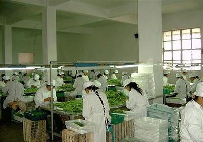 農(nóng)產(chǎn)品加工廠屬于什么行業(yè)?農(nóng)產(chǎn)品加工行業(yè)的創(chuàng)業(yè)機會與好處一覽